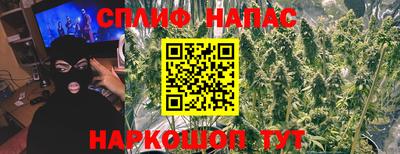 СК Рыбинск