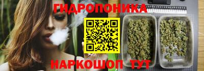 СК Рыбинск